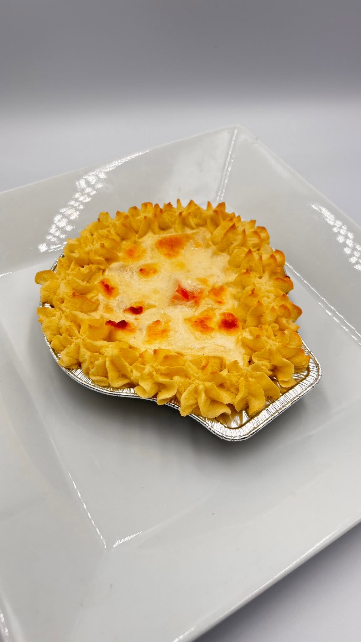 Coquilles Saint-Jacques